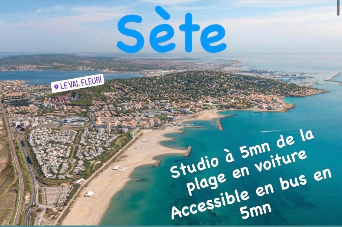 Magnifique Studio A Sete Proche Des Plages エクステリア 写真